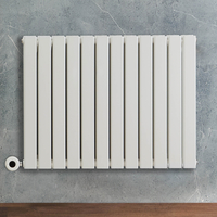 Radiateur design électrique horizontal – Blanc – 63, 5 x 84 cm – 2 rangs – Avec thermostat connecté – Câblé – Delta – ECOSO x Hudson Reed