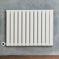 Radiateur design électrique horizontal – Blanc – 63, 5 x 84 cm – Avec thermostat connecté – Câblé – Delta – ECOSO x Hudson Reed