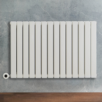 Radiateur design électrique horizontal – Blanc – 63, 5 x 98 cm – 2 rangs – Avec thermostat wifi intégré – Câblé – Delta – ECOSO x Hudson Reed