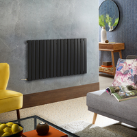 Radiateur design électrique horizontal – Noir – 63, 5 x 119 cm – Avec thermostat wifi externe – Câblé – Delta – ECOSO x Hudson Reed