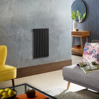 Radiateur design électrique horizontal – Noir – 63, 5 x 42 cm – Avec thermostat externe – Câblé – Delta – ECOSO x Hudson Reed