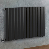 Radiateur design électrique horizontal – Noir – 63, 5 x 98 cm – Avec thermostat intelligent chromé – Sur prise – Delta – ECOSO x Hudson Reed