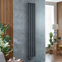 Radiateur design électrique vertical – Anthracite – 160 x 23, 6 cm – ThermostaT – Sur prise – Vitality – ECOSO x Hudson Reed
