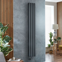 Radiateur design électrique vertical – Anthracite – 178 x 23, 6 cm – 2 rang – Thermostat – Câblé – Vitality Slim – ECOSO x Hudson Reed