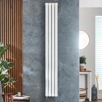 Radiateur design électrique vertical – Blanc – 160 x 23, 6 cm – Sans thermostat - Câblé – Vitality – ECOSO x Hudson Reed