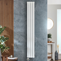 Radiateur design électrique vertical – Blanc – 160 x 23, 6 cm – Thermostat – Sur prise – Vitality – ECOSO x Hudson Reed