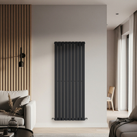 Radiateur design vertical - 160 x 63 cm - Acier gris foncé - Chauffage eau chaude mural - Salon & cuisine - Hudson Reed