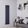 Radiateur Design Vertical - Aluminium Anthracite - Moderne - Eau Chaude - Hudson Reed Vitality - 160 x 23, 6 cm - 1 Rang