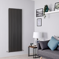 Radiateur design vertical – 160 x 63 cm – Anthracite – 2 rangs – Design moderne - Chauffage central - Delta - Hudson Reed