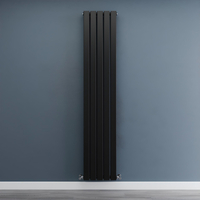 Radiateur design vertical -175 x 35 cm - Chauffage double plat - Eau chaude - 1000W - Acier noir - Hudson Reed
