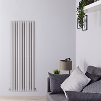 Radiateur Design Vertical – 178 cm x 59 cm – Gris Clair - Vitality
