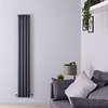 Radiateur design vertical – Anthracite – 160 cm x 23, 6 cm – Double rangs - Vitality