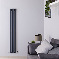 Radiateur design vertical – Anthracite – 160 cm x 23, 6 cm – Vitality Slim