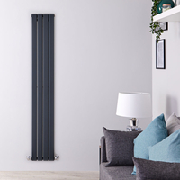 Radiateur design vertical – Anthracite – 160 cm x 28 cm – Double rangs – Delta