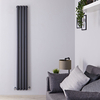 Radiateur design vertical – Anthracite – 178 cm x 23, 6 cm – Double rangs – Vitality Slim