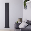 Radiateur design vertical – Anthracite – 178 cm x 28 cm – Double rangs – Salisbury