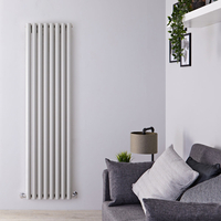 Radiateur design vertical – Argent – 178 cm x 47, 2 cm – Savy