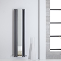 Radiateur design vertical – Avec miroir – 160 cm x 38, 5 cm – Anthracite – Sloane