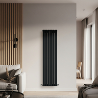 Radiateur design vertical à panneau plat – Acier noir – 160 cm x 42 cm – Rang simple – Chauffage moderne - Hudson Reed