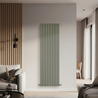 Radiateur design vertical à panneau plat – Vert sauge - Acier – 178 cm x 56 cm – Rang simple – Eau chaude - Hudson Reed