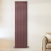 Radiateur design vertical – Rouge (Booth Red) – 178 cm x 47, 2 cm – Rang double – Vitality