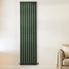 Radiateur design vertical – Vert – 178 x 47, 2 cm – Double rangs – Design moderne - Vitality - Hudson Reed