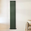 Radiateur design vertical – Vert (Evergreen) – 178 cm x 23, 6 cm – Rang double – Vitality