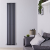 Radiateur Design Vertical Anthracite Vitality 178cm x 35, 4cm x 5, 6cm 892 Watts