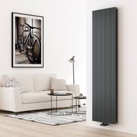 Radiateur design vertical en aluminium – 180 cm x 47 cm – Double panneaux – Anthracite – Lex