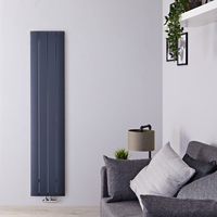 Radiateur design vertical en aluminium – Anthracite – 160 cm x 37, 5 cm - Aurora