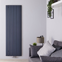Radiateur design vertical en aluminium – Anthracite – 160 cm x 56, 5 cm - Aurora