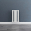 Radiateur eau chaude - Petit design WC - 59, 5 x 35 cm - Chauffage central - 250W - Acier mural blanc - Hudson Reed