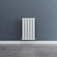 Radiateur eau chaude - Petit design WC - 59, 5 x 35 cm - Chauffage central - 250W - Acier mural blanc - Hudson Reed