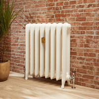 Radiateur fonte – Blanc ancien – 56 cm x 27, 2 cm – Erté