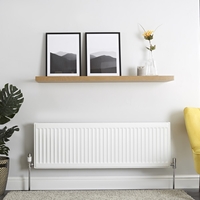Radiateur horizontal (type 22) – Blanc – 40 cm x 120 cm – Eco