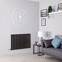 Radiateur Électrique Design Horizontal - 63.5 x 98cm - Noir Laqué - Delta