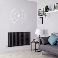Radiateur Électrique Design Horizontal - 63.5x119cm - Noir Laqué - Delta