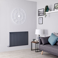 Radiateur Électrique Design Horizontal - Anthracite - 63.5 x 98cm - Delta