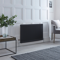 Radiateur style fonte horizontal - Anthracite - 2 rangs – 60 x 101 cm - Design rétro - Windsor - Hudson Reed