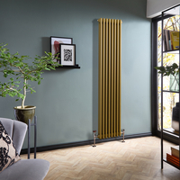 Radiateur style fonte vertical – 180 cm x 38 cm – Double rang – Or métallilque - 978 W - Rétro - Eau - Hudson Reed Windsor