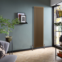 Radiateur style fonte vertical – 180 cm x 47 cm – Double rang – Bronze métallique - 1223 W - Rétro - Eau - Hudson Reed Windsor