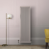 Radiateur style fonte vertical – 180 cm x 56 cm – Double rang – Rose - Eau chaude - Rétro Industriel – Windsor