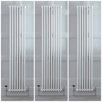 Radiateur style fonte vertical – Blanc – Double rangs – Choix de tailles - Stelrad Regal par Hudson Reed
