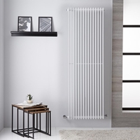 Radiateur Vertical - Acier Blanc Décoratif - Chauffage Central - Hudson Reed