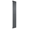 Radiateur vertical - Anthracite - 175 cm x 28 cm - 1 Rang - Eau chaude - Plat - Sterling Arlie par Hudson Reed