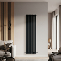 Radiateur vertical eau chaude - 178 x 49 cm - Design noir moderne - Acier - Chauffage eau chaude - Hudson Reed
