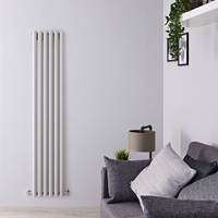 Radiateur Vertical Gris Argenté - Design Mural Étroit - Eau Chaude - Hudson Reed