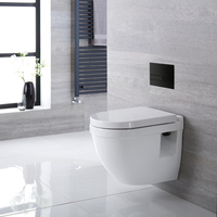 WC suspendu moderne avec bâti-support – Blanc – Choix de plaque de déclenchement - Belstone